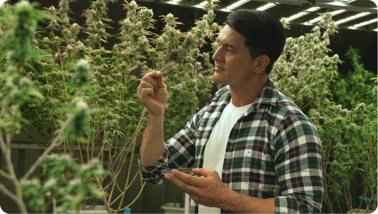 industry-main-image-1